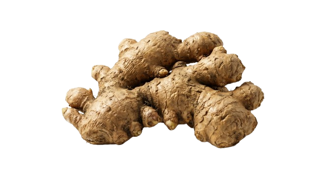 Ginger Root